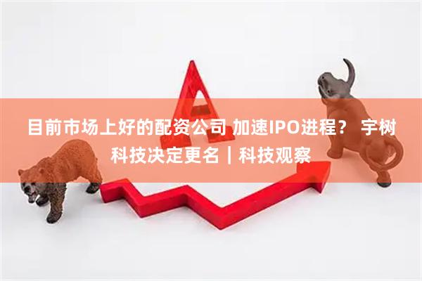 目前市场上好的配资公司 加速IPO进程？ 宇树科技决定更名｜科技观察