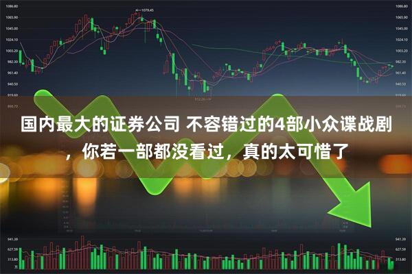 国内最大的证券公司 不容错过的4部小众谍战剧，你若一部都没看过，真的太可惜了