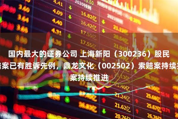 国内最大的证券公司 上海新阳（300236）股民索赔案已有胜诉先例，鼎龙文化（002502）索赔案持续推进