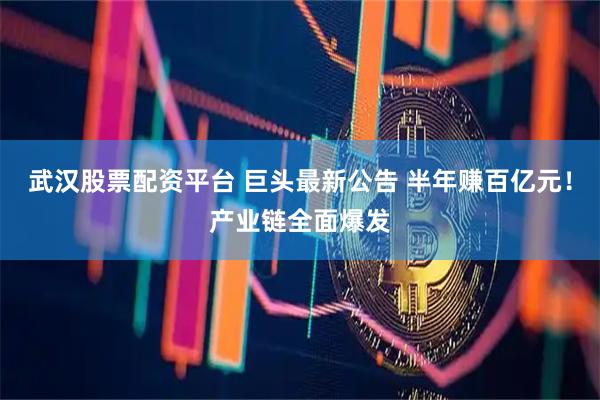 武汉股票配资平台 巨头最新公告 半年赚百亿元！产业链全面爆发